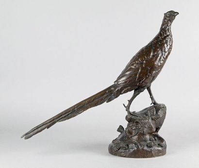 null Léon BUREAUD – 1866-1906 FAISAN SUR UN ROCHER Épreuve en bronze à patine mordorée...