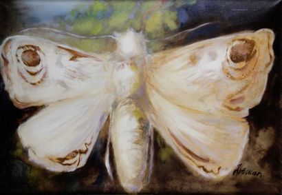 null Albert DEMAN – 1929-1996 LE PAPILLON Huile sur toile signée en bas à droite....