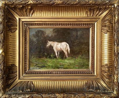 null Amedee SERVIN (1829-1884) Etude de cheval dans un pré Huile sur panneau signé...