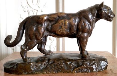 null Antoine Louis BARYE (1796-1875) Lionne marchant Sculpture en bronze à patine...