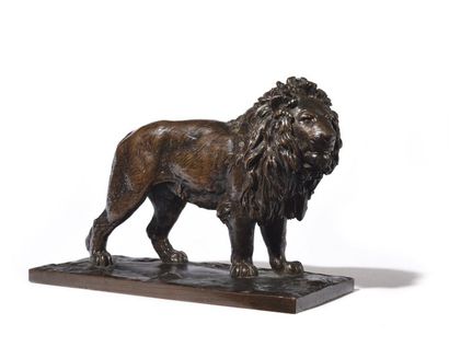 null Lion debout Épreuve en bronze patiné 12 x 17,5 cm Bibliographie: - PR A63 page...