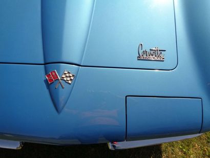 1966 CHEVROLET Corvette 427 Turbo Jet Cabriolet Numéro de série 194676S108247


Intéressante...