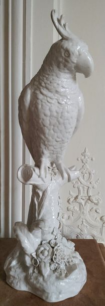 null GROUPE en porcelaine blanche émaillée à décor d'un perroquet debout sur un branchage....