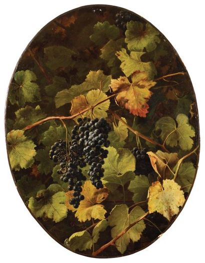 null François BENSA (1811-1895) Nature morte aux raisins et à la vigne Huile sur...
