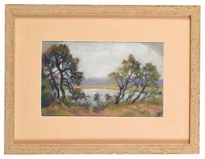 null Pierre Ernest PRINS (1838-1913) Bord de rivière Pastel 15 x 24,5 cm (à vue)...
