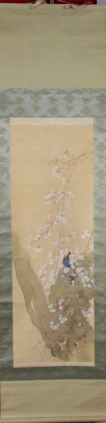 null JAPON, époque MEIJI KAKEMONO sur soie oiseau sur un prunus en fleurs. Signé....