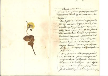 null PELISSIER (Friendly). 3 autographed letters signed to Juliette Destailleur....