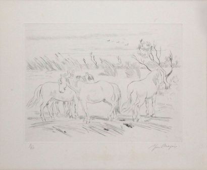 null Yves BRAYER – 1907-1990 CHEVAUX EN CAMARGUE Pointe sèche signée et numérotée...