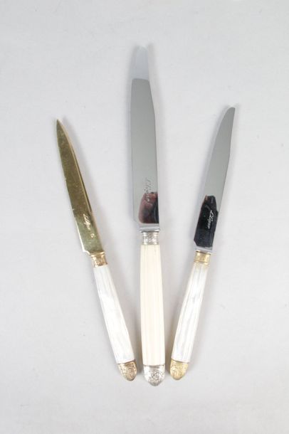 null ENSEMBLE de 24 couteaux manche en ivoire et lames en inox, 12 couteaux lames...