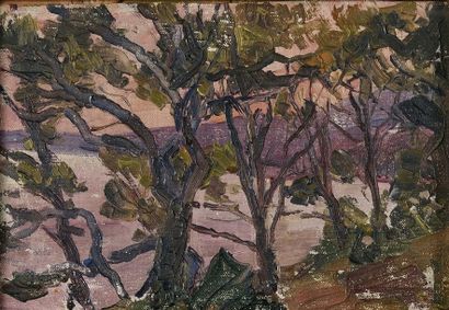 null MAKO Sergej (1885-1953) 

Paire de paysages maritimes

Huile sur isorel

L’un...