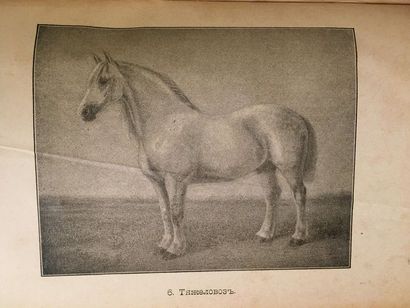 null KRIVENKO N.N.

Lettres sur le cheval, avec 6 dessins de types de chevaux. Ed....