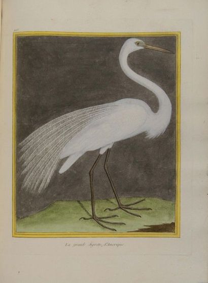 null BUFFON (Georges-Louis Leclerc de). Histoire naturelle des oiseaux. À Paris,...