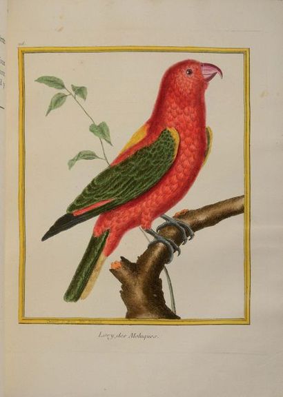 null BUFFON (Georges-Louis Leclerc de). Histoire naturelle des oiseaux. À Paris,...