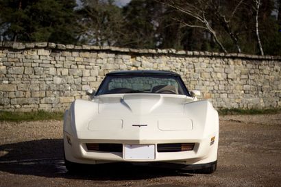 1981 CHEVROLET Corvette C3 Stingray 350 T-Top Numéro de série 1G1AY8767BS422868

Intéressante...