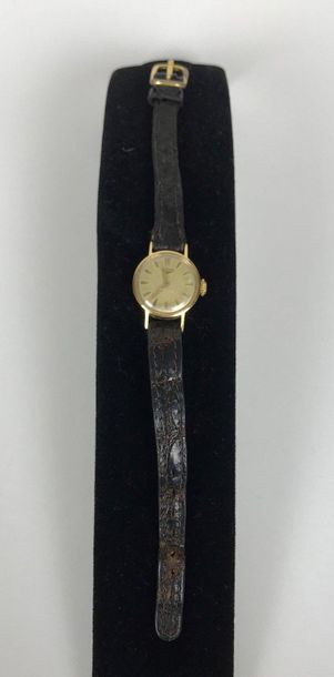 null LONGINES Ladies' watch in yellow gold, round dial, baton index. Brown crocodile...
