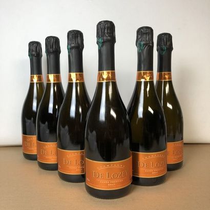 null 6 bottles CHAMPAGNE DE LOZEY Cuvée Prestige 