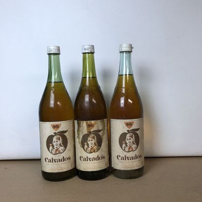 null 3 bouteilles CALVADOS La Clef du Cellier (niveaux : 2 léger bas, 1 haute épaule,...