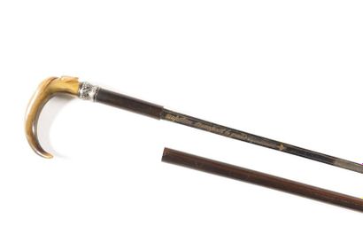 null Sword cane. Horn handle with silver ferrule engraved "Louis". Was varnished,...