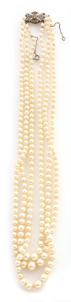null NECKLACE of three rows of cultured pearls in caste, the silver ratchet clasp...