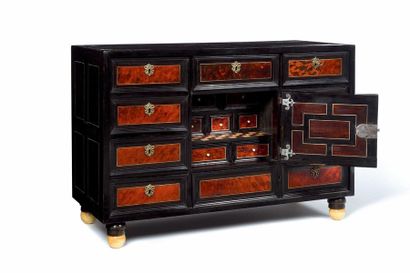 null Shell, ebony, rosewood and ivory veneer cabinet opening with nine drawers and...