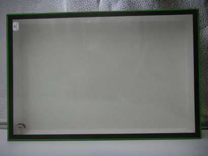 null Empty glass entomological box