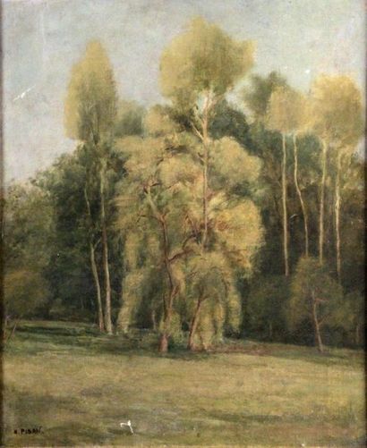 null Héliodore-Joseph PISAN (1822-1890)

Paysage arboré

Huile sur toile

Signée...