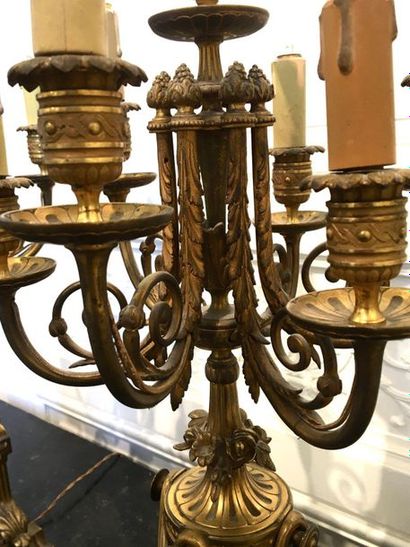 null Pair of ormolu and chiselled bronze candelabra with six moving light arms joined...