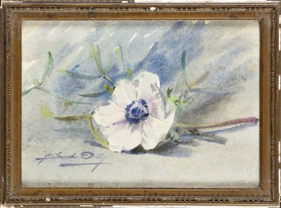 null Blanche ODIN (1865-1957) Nature morte à la fleur Aquarelle Signé en bas à gauche...