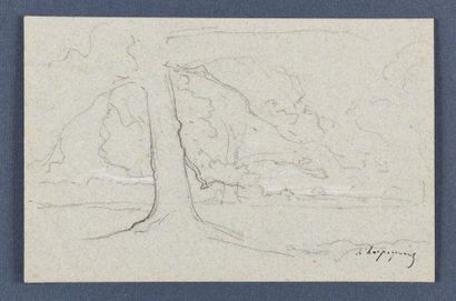 null Henri HARPIGNIES (1819-1916) Etude d’arbre Dessin au crayon, signé en bas à...