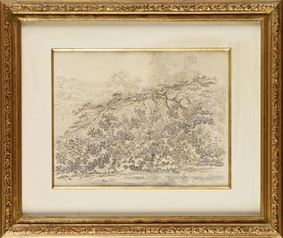 null François-Louis FRANÇAIS (1814-1897) Arbres en bord de mare Dessin à la plume...