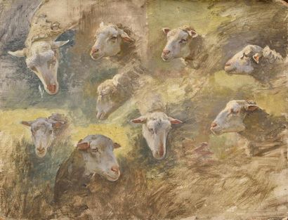 null Luigi CHIALIVA (1842-1914) Tetes de moutons, Huile sur panneau Porte le cachet...