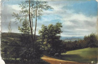 null 19th century school Landscape Oil on paper 23.5 x 36.5 cm (tears and missing...