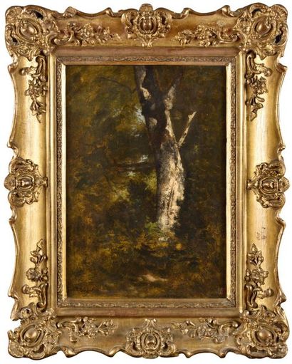 null Léon RICHET (1847-1907) Arbre en forêt Oil on panel, signed lower left Inventory...