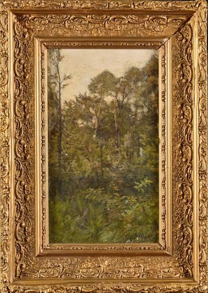 null Léon RICHET (1847-1907) Paysage de forêt Huile sur toile Signé en bas à droite...