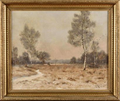 null Henri LINGUET (1881-1914) Paysage de forêt Huile sur toile Signé en bas à droite...