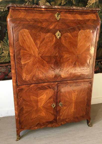 null SECRETARY in veneer and butterfly wing marquetry in fretworked frames opening...