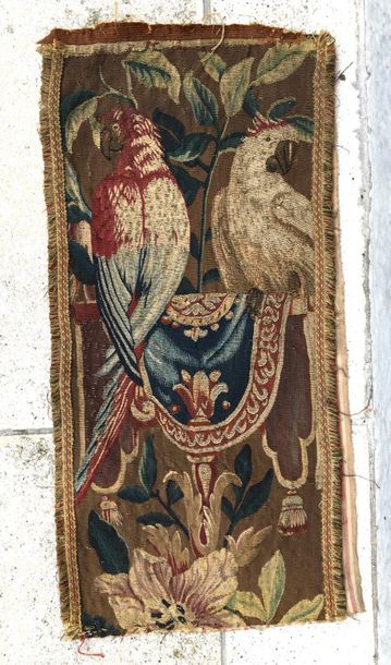 null FRAGMENT DE TAPISSERIE en laine polychrome à décor de perroquets. XVIIIe siècle...