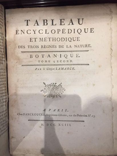 null LAMARCK (Jean-Baptiste Pierre Antoine de Monet, chevalier de) Tableau encyclopédique...