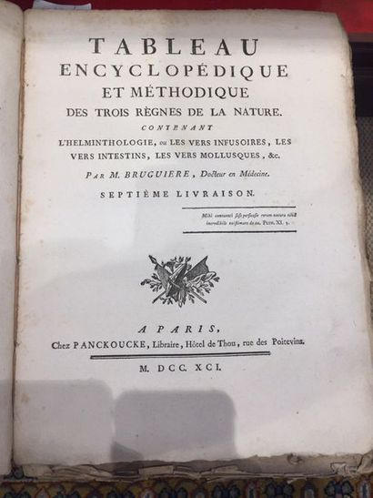 null LAMARCK (Jean-Baptiste Pierre Antoine de Monet, chevalier de) Tableau encyclopédique...
