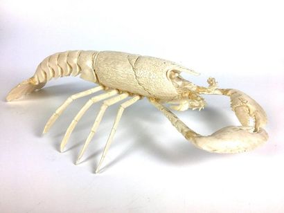 null HOMARD en ivoire sculpté au naturel. Fin XIXe siècle Long : 33 cm Poids : 600...