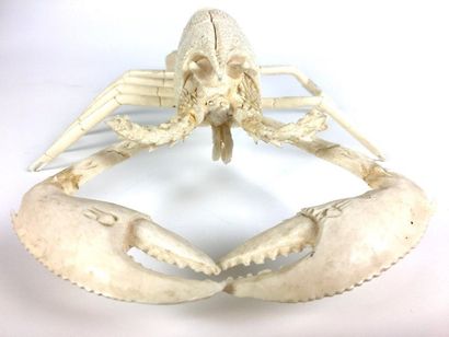 null HOMARD in ivory carved in natural. End of the 19th century Length : 33 cm Weight...