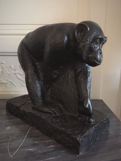 null Mateo HERNANDEZ (1885-1949) (d’après) Chimpanzé Epreuve en bronze à patine brun...