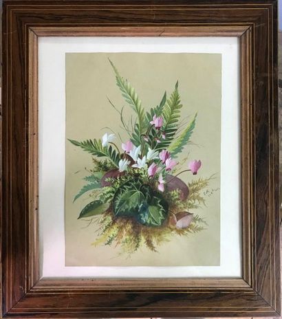 null Cyclamen and ferns

Gouache on paper 

Signed EM dated 1862

Pitchpin frame

31...