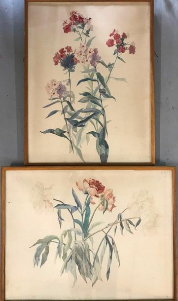 null Suite of four watercolours of flowers on paper framed under glass. 

60 x 46...