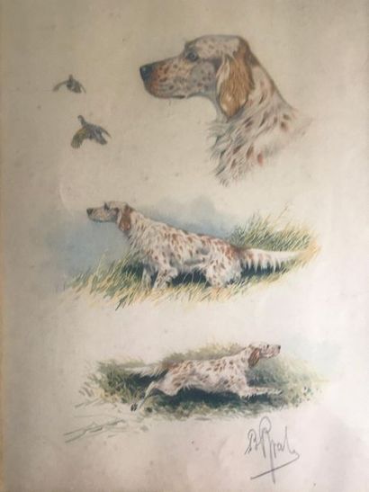 null RIAB

Suite de trois gravures en couleur 

Oiseaux et chiens

Signés

Chez Ducher

33,5...