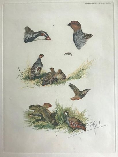null RIAB Suite of four colour prints 

Dogs and ducks

A fifth, larger one is attached.

Signed...