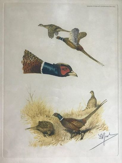 null RIAB Suite of four colour prints 

Dogs and ducks

A fifth, larger one is attached.

Signed...