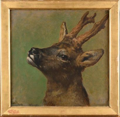 null ATTRIBUTED TO ROSA BONHEUR (1822-1899) Deer head dated '1866' (bottom right)...