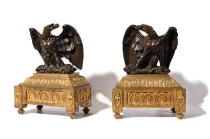 null PAIRE DE CHENETS en bronze patiné et doré représentant des aigles aux ailes...