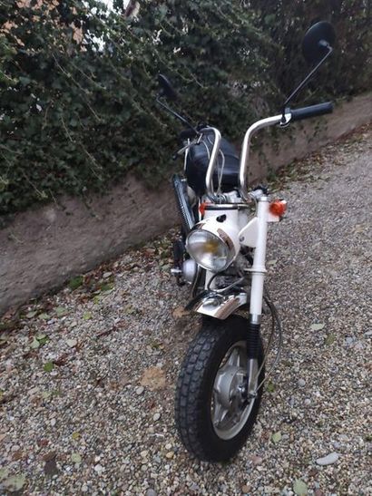 1969 HONDA DAX Cadre numéro ST70-555481

Moteur numéro ST70E-132758



Le modèle...